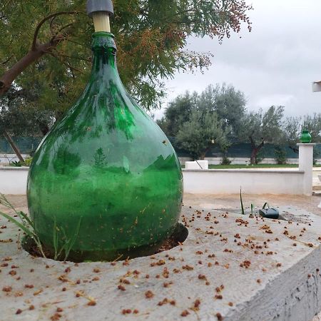 Il Vecchio Carrubo - Villa Con Piscina A Sfioro Macchia di Monte Eksteriør bilde