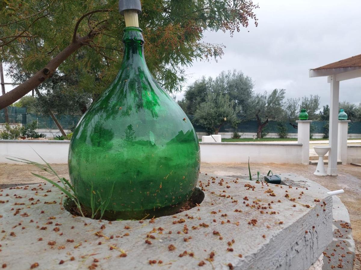 Il Vecchio Carrubo - Villa Con Piscina A Sfioro Macchia di Monte Eksteriør bilde