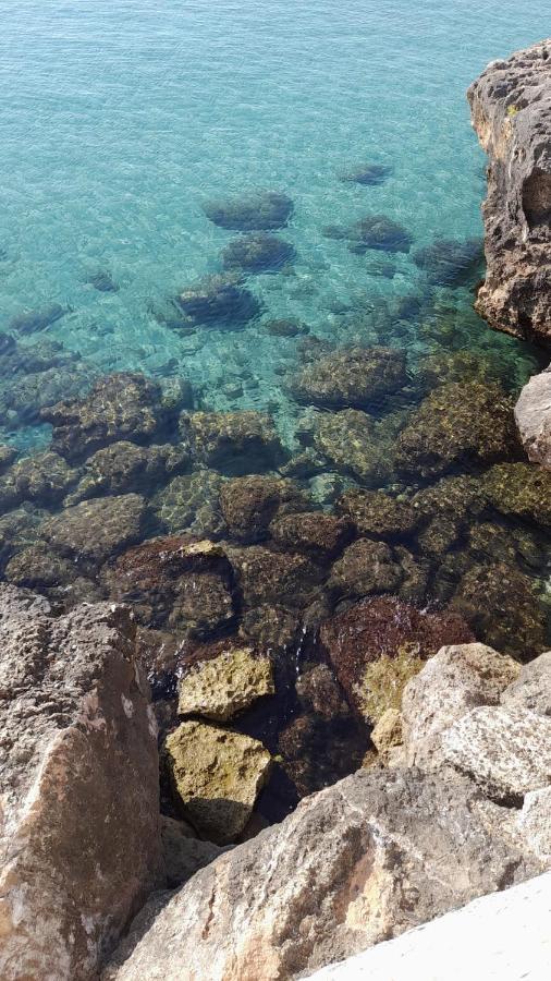 Il Vecchio Carrubo - Villa Con Piscina A Sfioro Macchia di Monte Eksteriør bilde